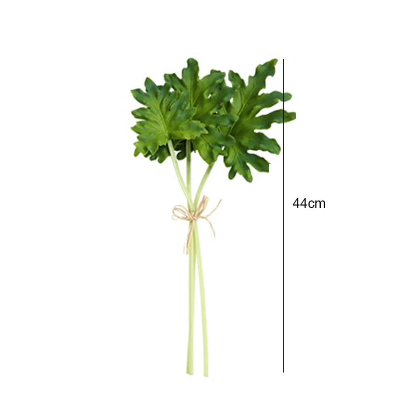 Palmeira Tartaruga