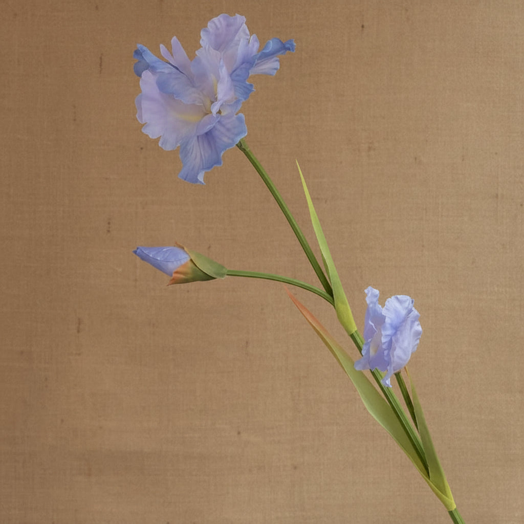 Flor de Íris em Seda