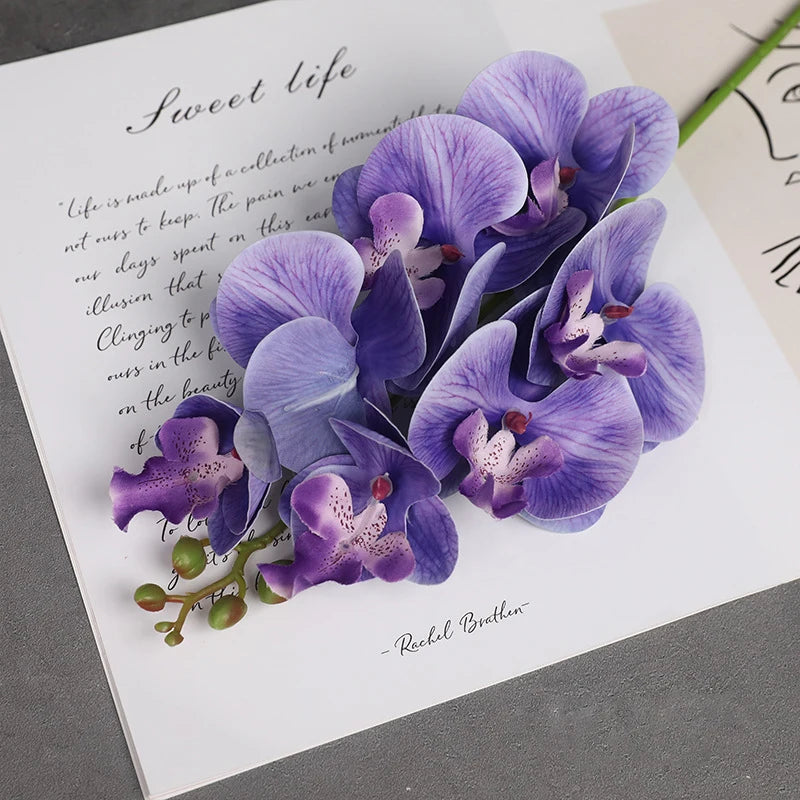 Orquídea Borboleta 7 Cabeças