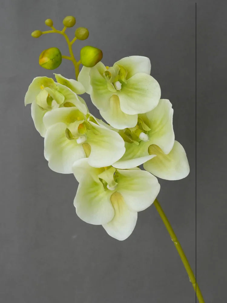 Orquídea Real em Seda