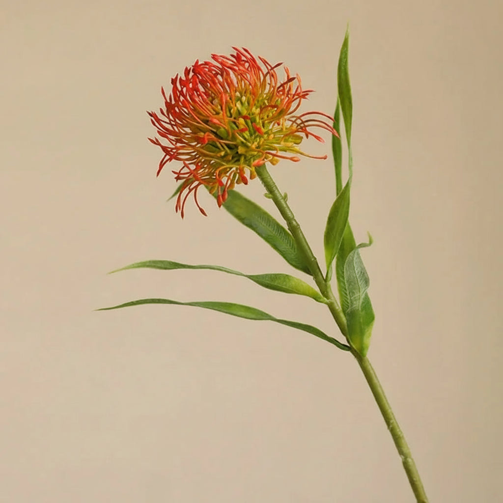 Almofada de agulha