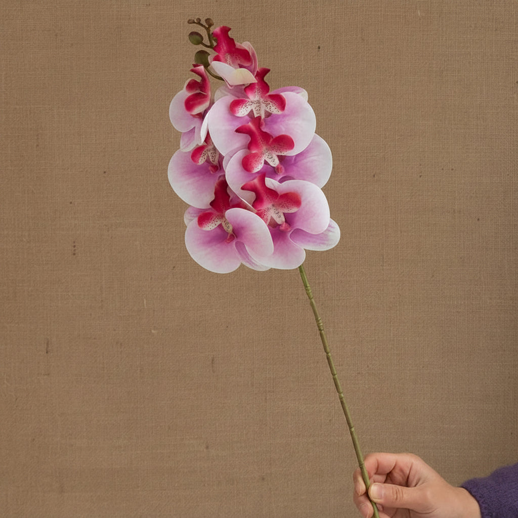 Orquídea Borboleta em Seda