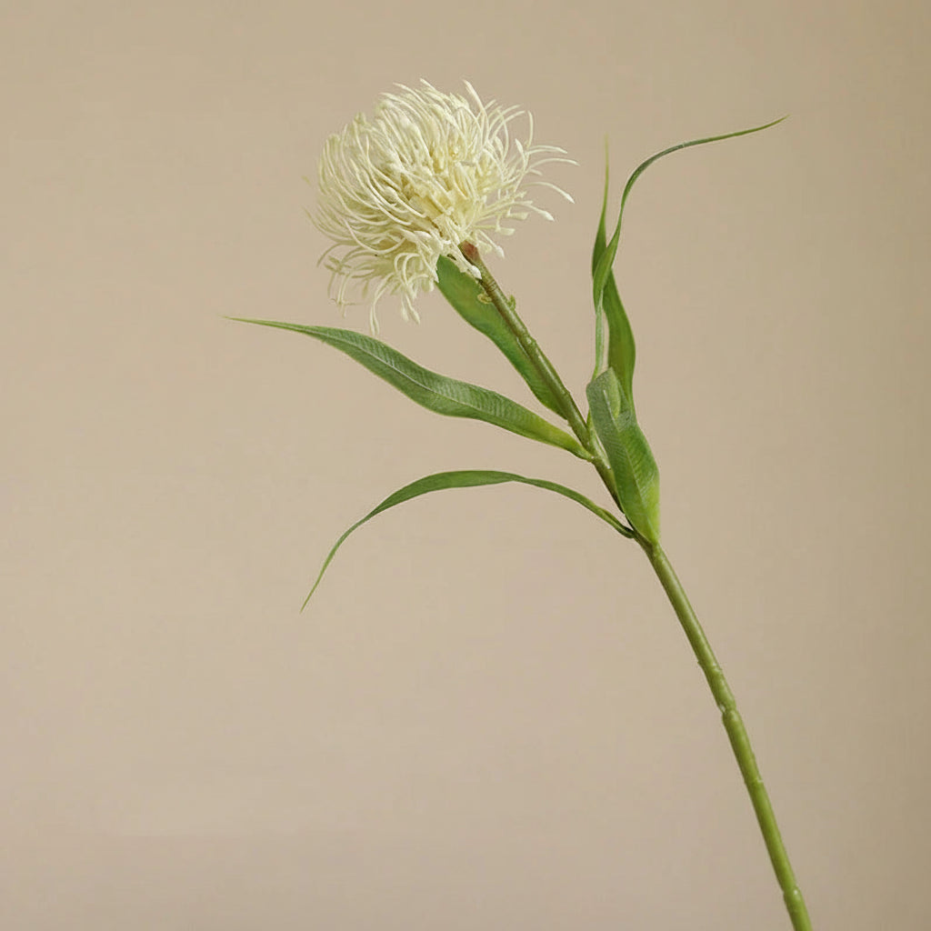 Almofada de agulha