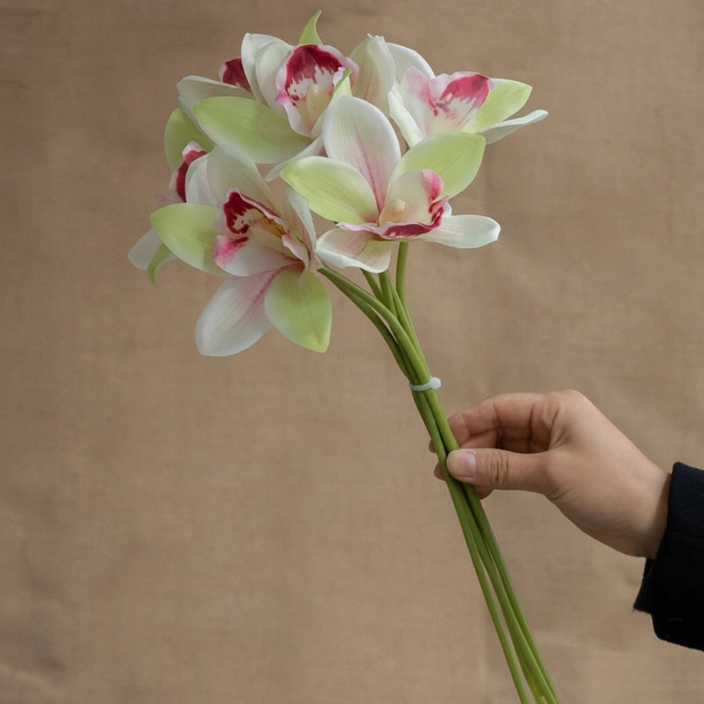 Orquídeas Borboleta