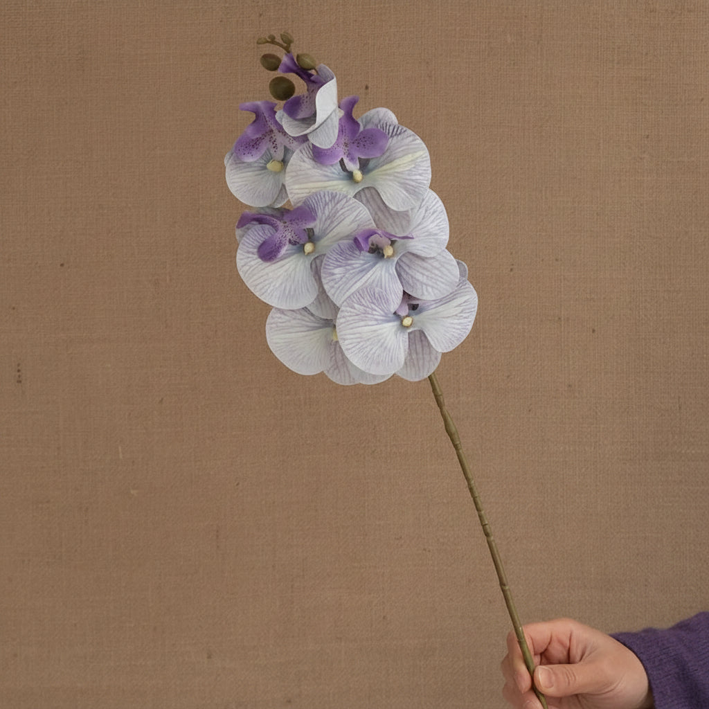Orquídea Borboleta em Seda