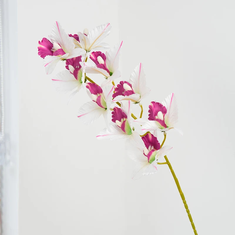 Cattleya em Seda