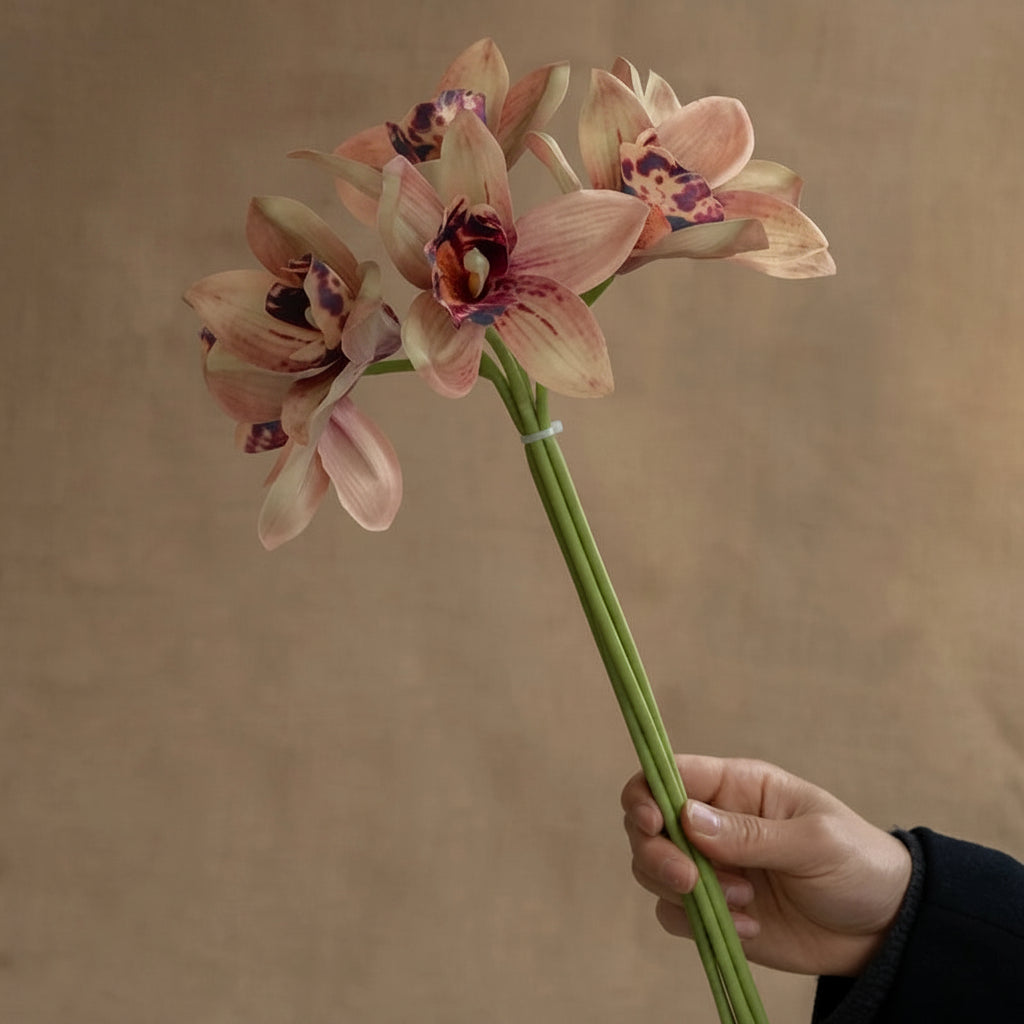Orquídeas Borboleta