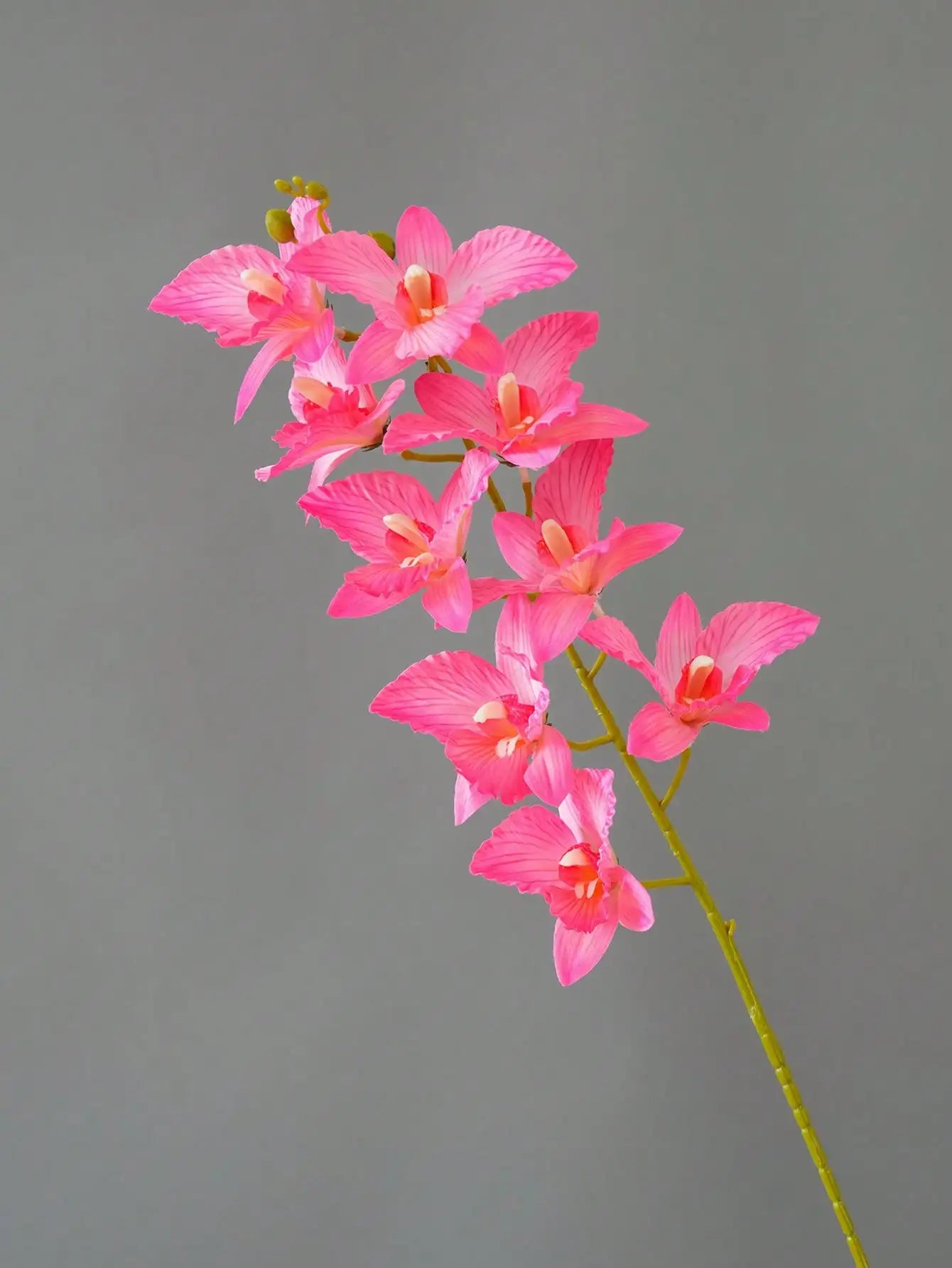 Orquídea Ramo 9 Cabeças