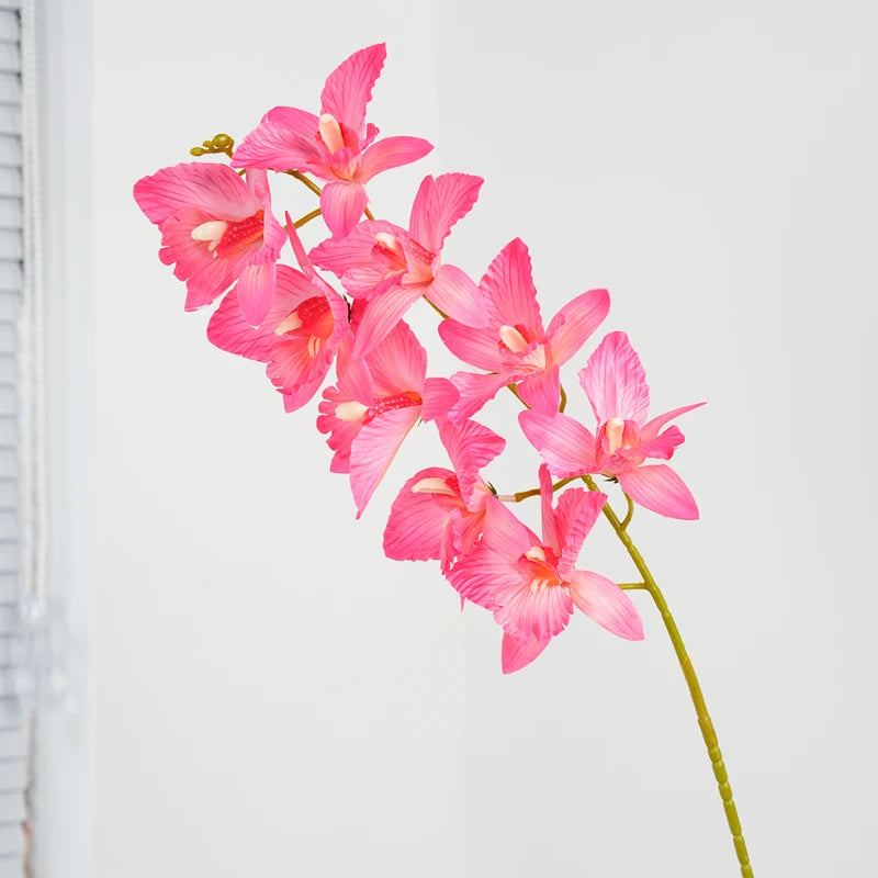 Cattleya em Seda