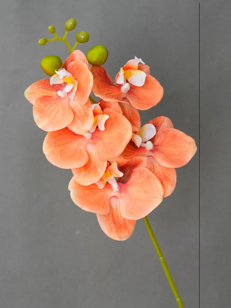 Orquídea Real em Seda