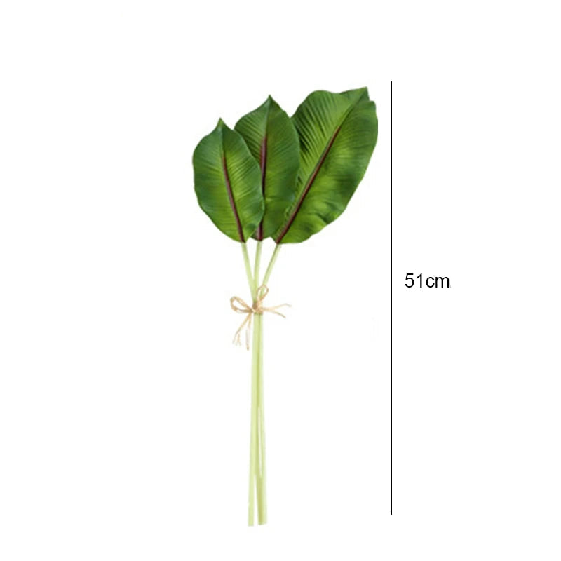Palmeira Tartaruga