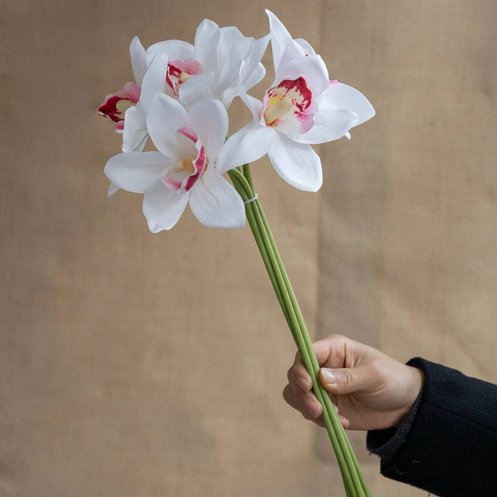 Orquídeas Borboleta