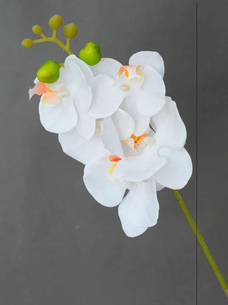Orquídea Real em Seda