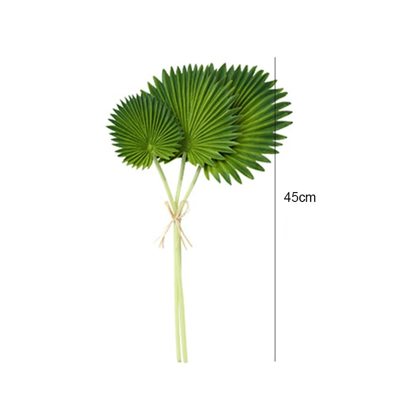 Palmeira Tartaruga