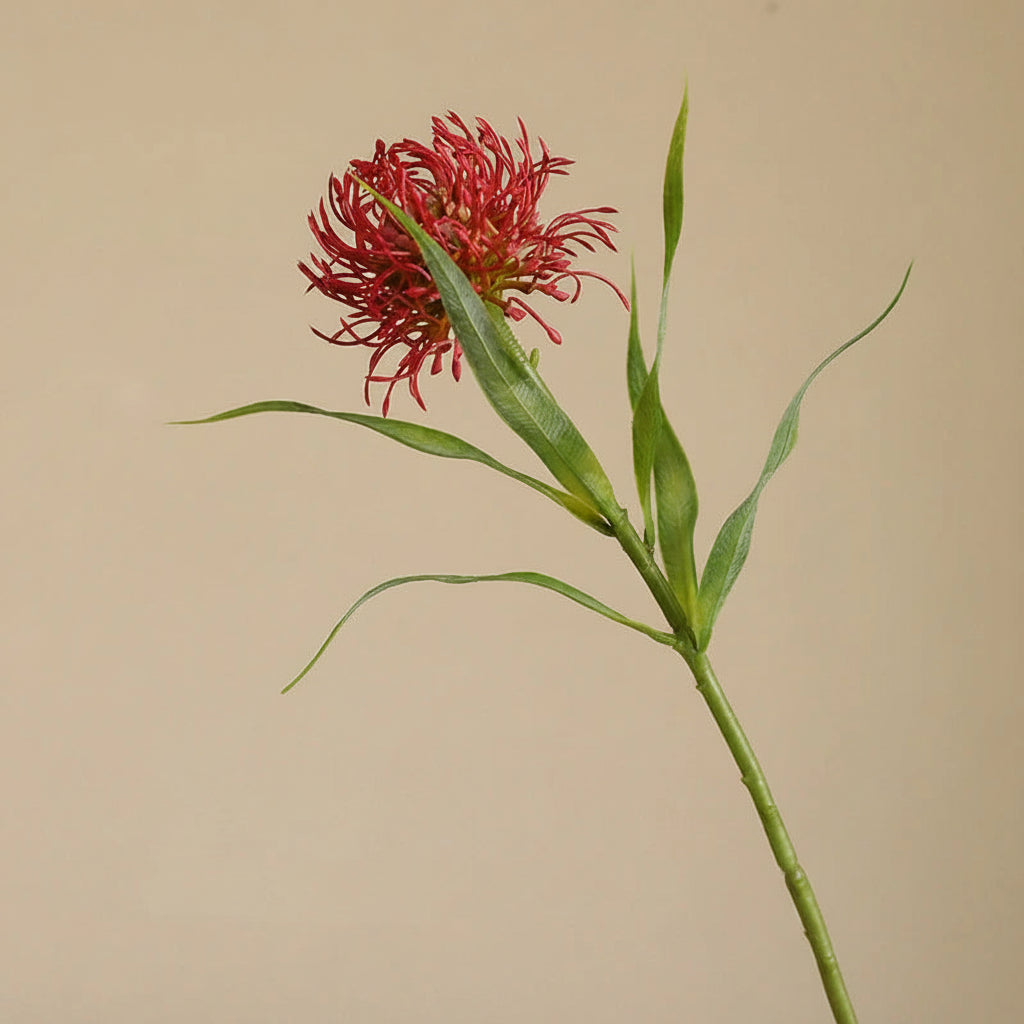 Almofada de agulha