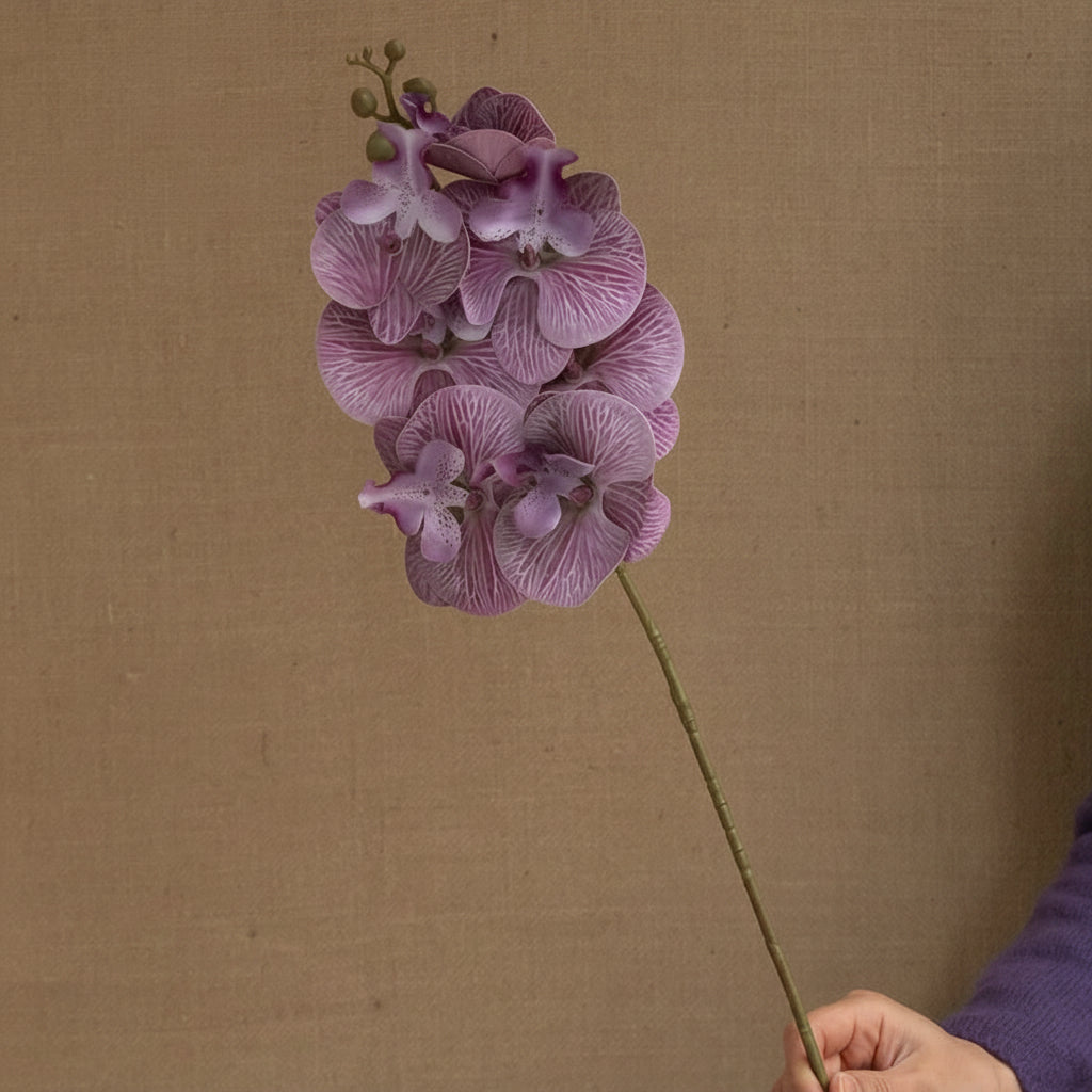 Orquídea Borboleta em Seda