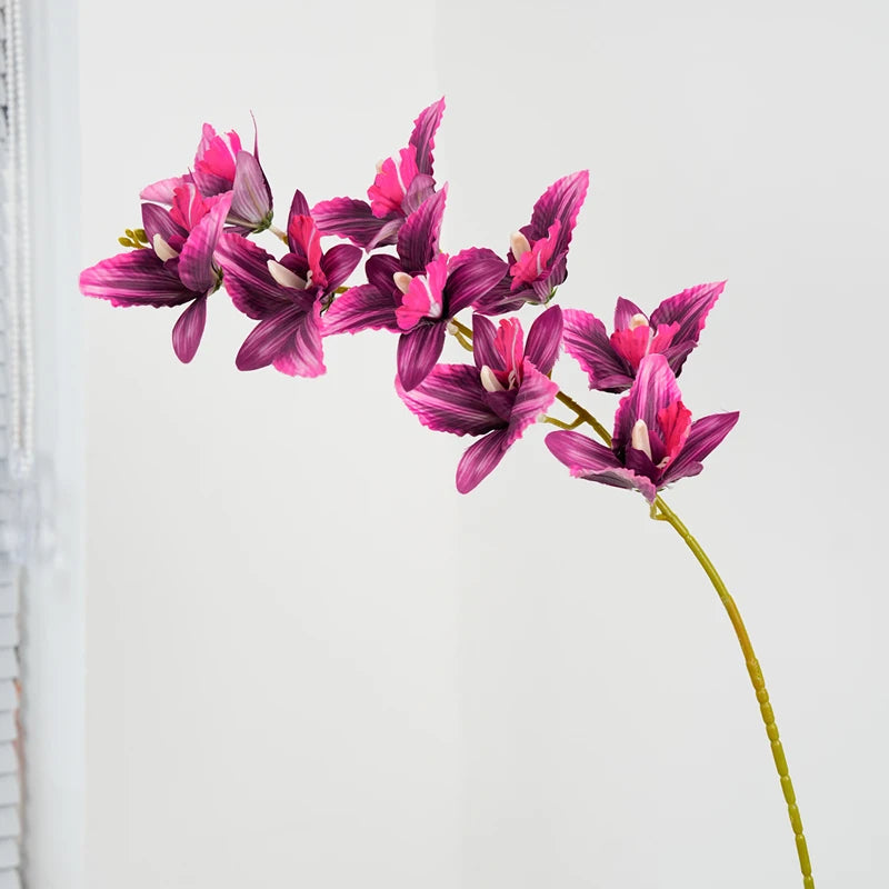 Cattleya em Seda