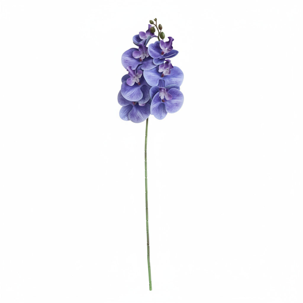 Orquídea Borboleta