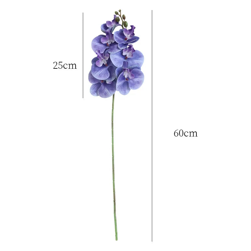Orquídea Borboleta 7 Cabeças