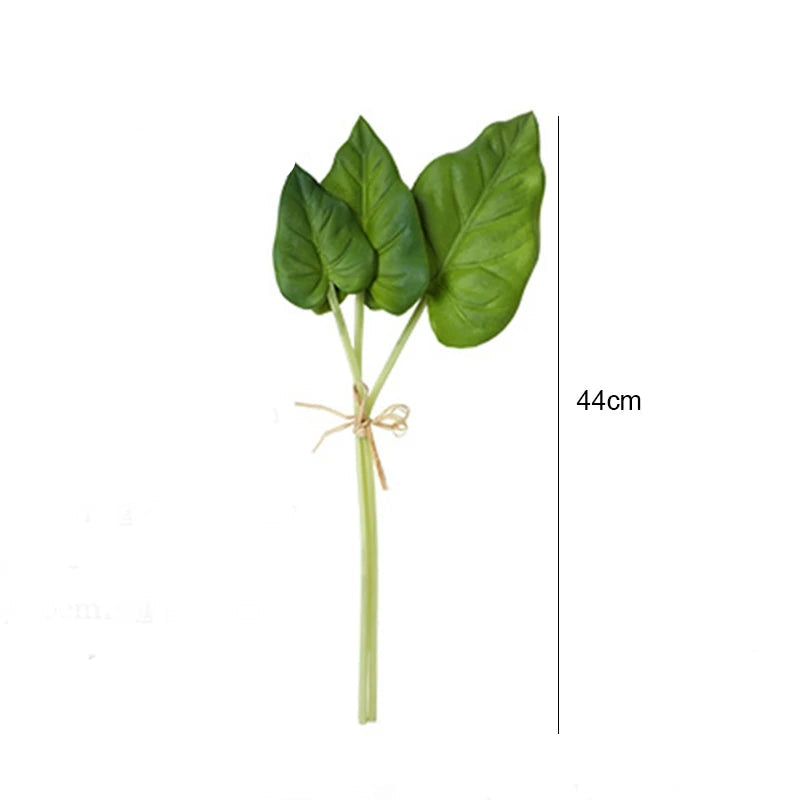 Palmeira Tartaruga
