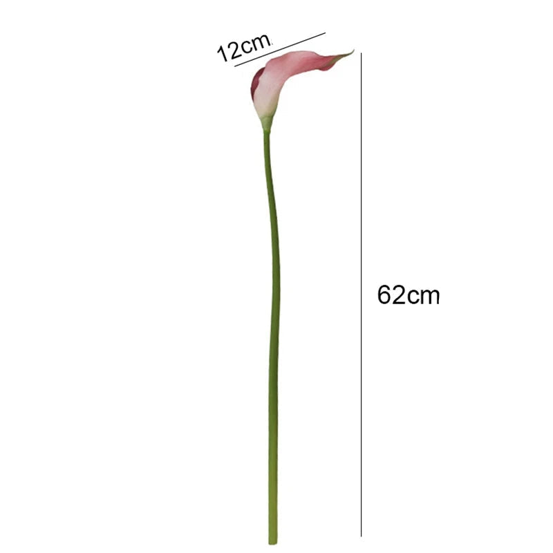 Lírio de Calla