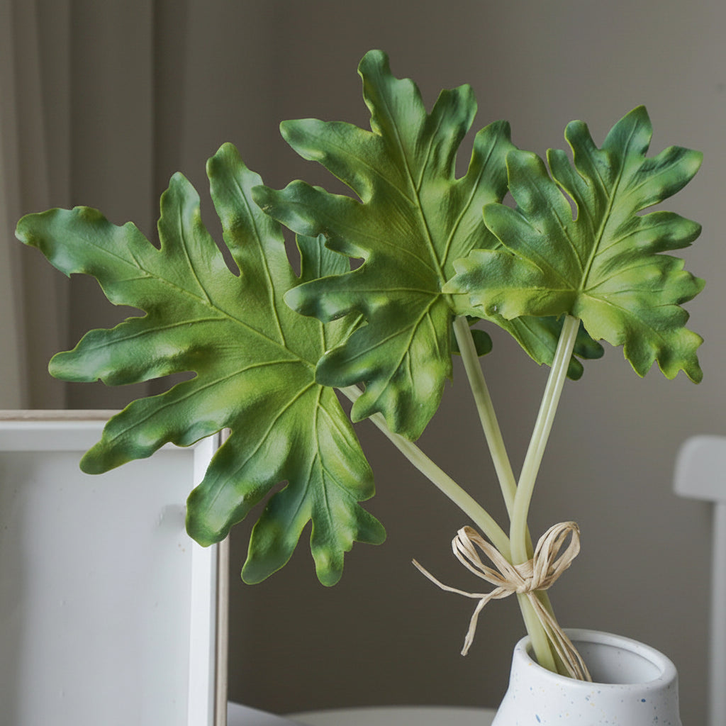 Palmeira Tartaruga