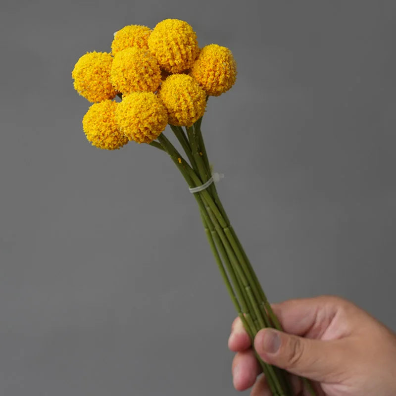 Crisântemo de 9 Cabeças
