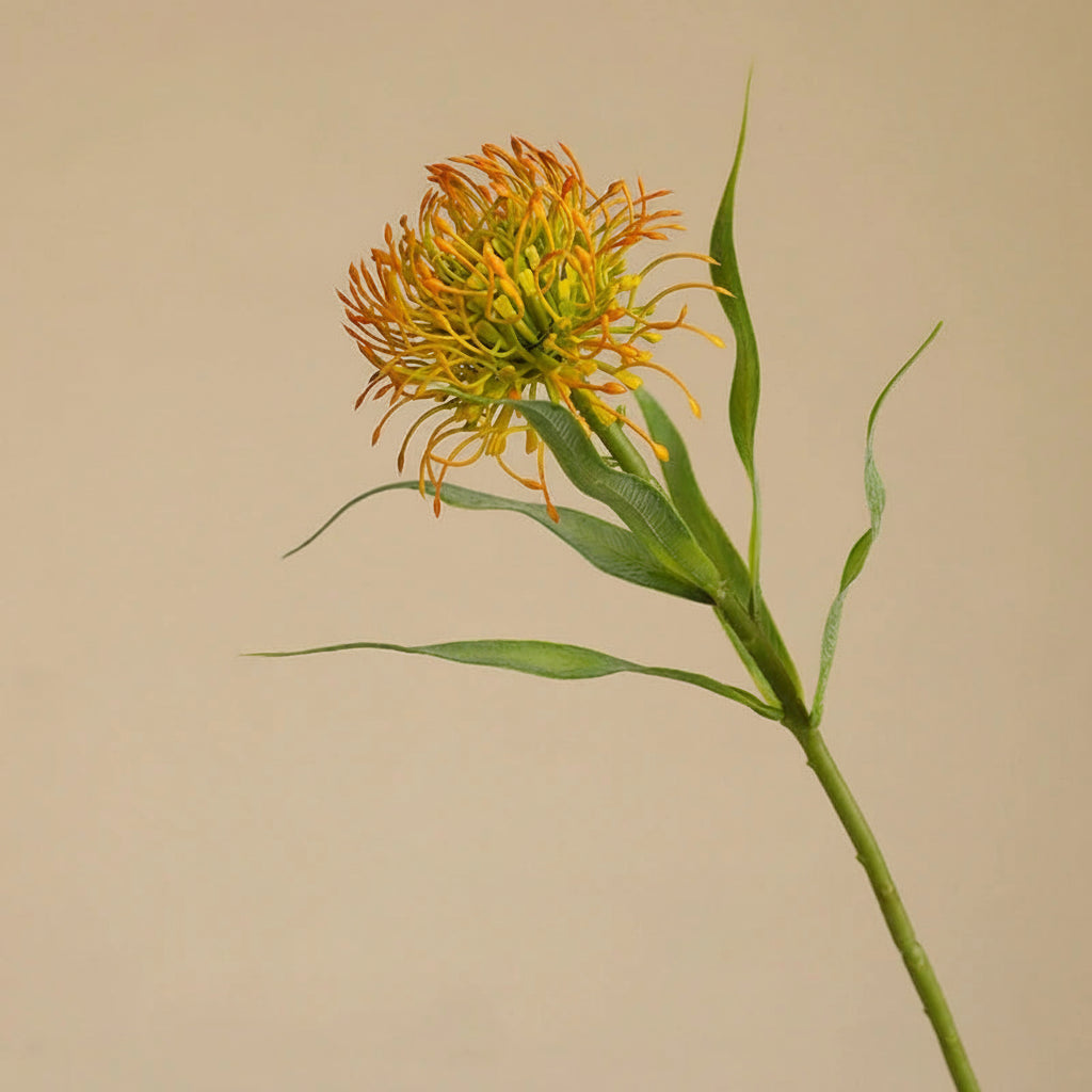 Almofada de agulha