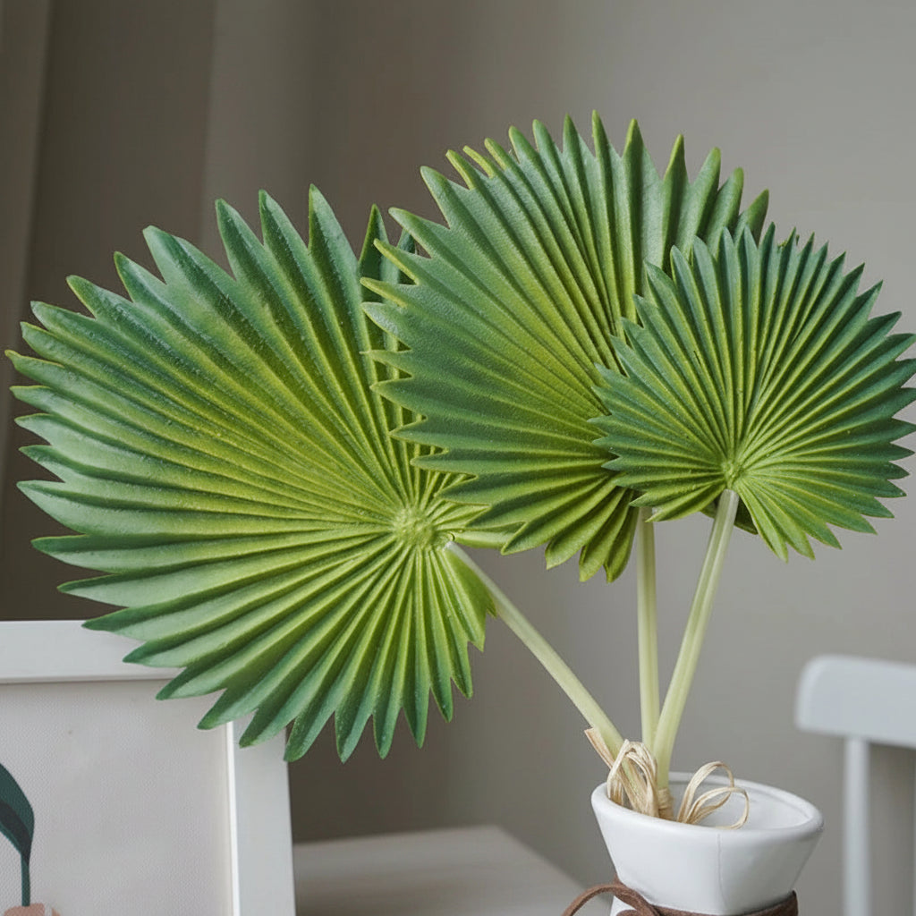 Palmeira Tartaruga
