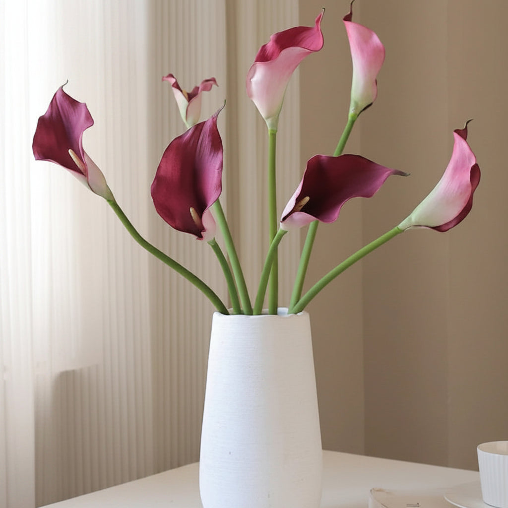 Lírio de Calla