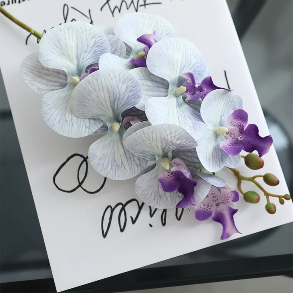 Orquídea Borboleta