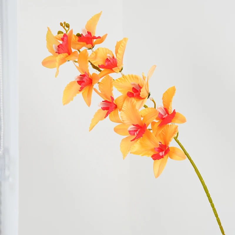 Cattleya em Seda