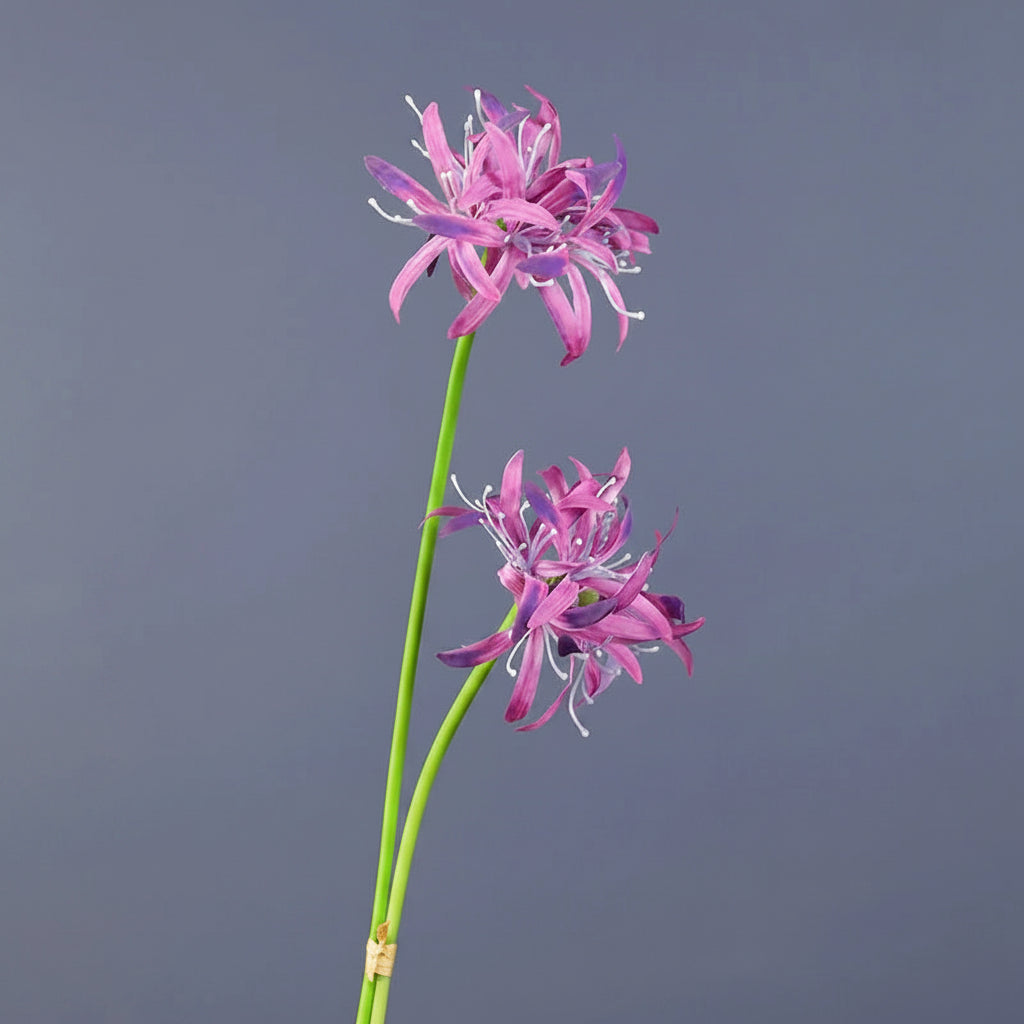 Orquidea em Seda