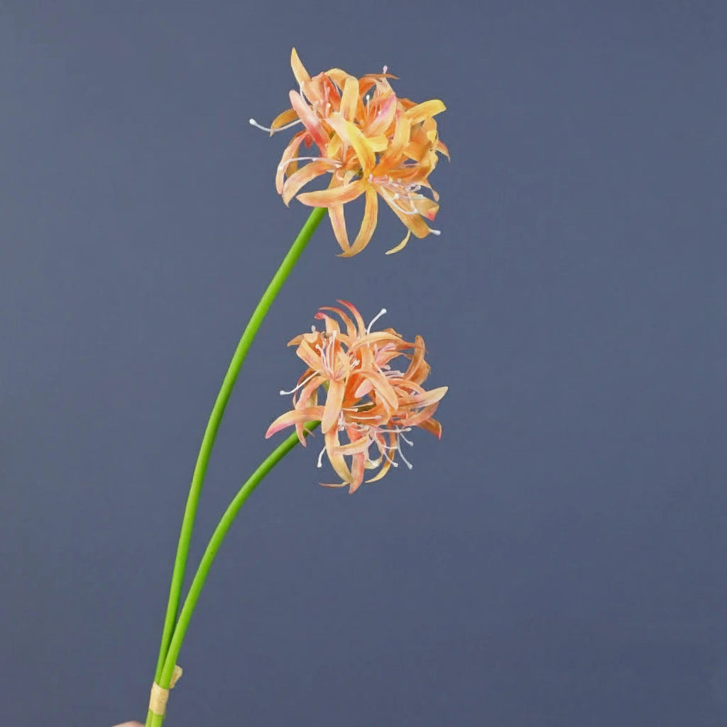Orquidea em Seda