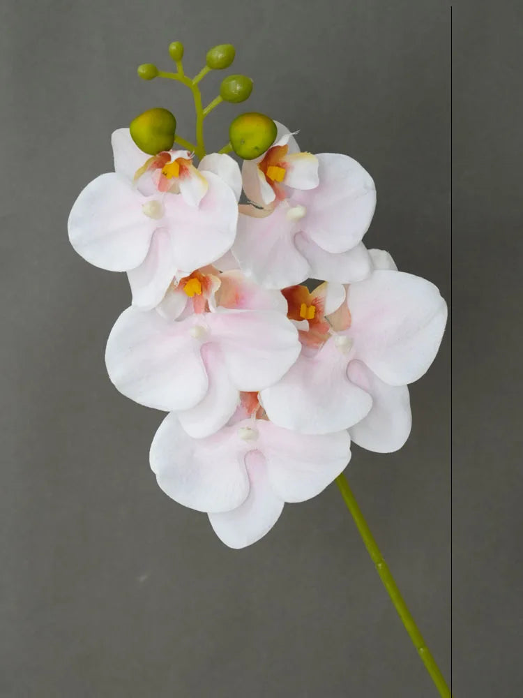 Orquídea Real em Seda