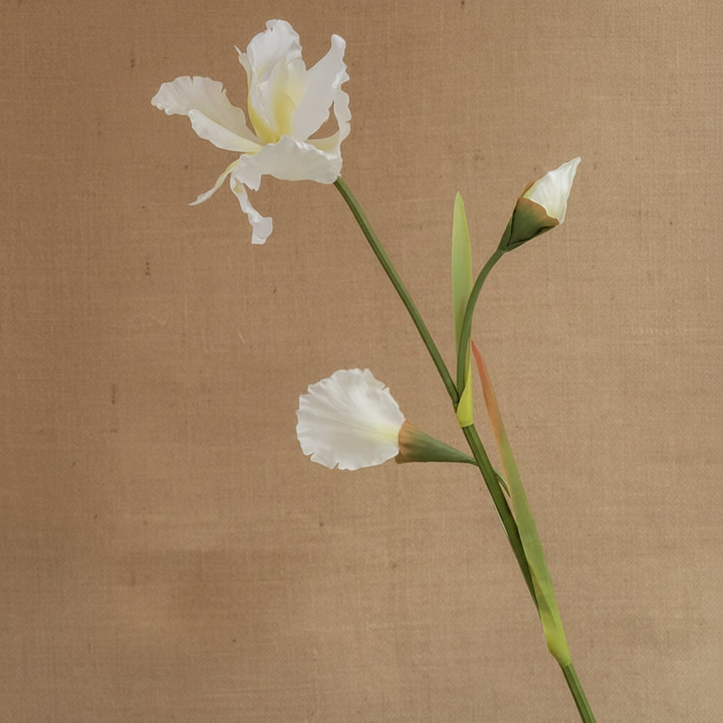 Flor de Íris em Seda