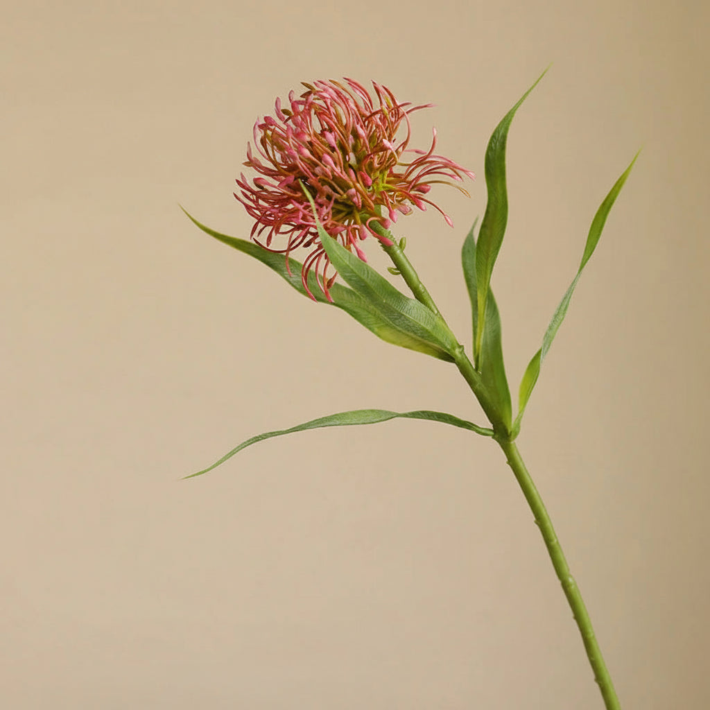 Almofada de agulha