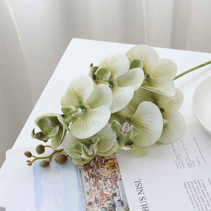 Orquidea Phalaenopsis Borboleta em Seda