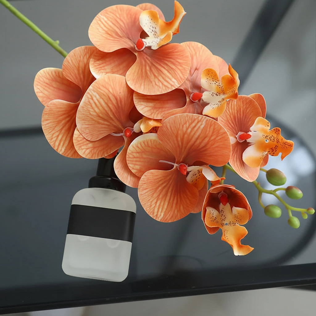 Orquídea Borboleta