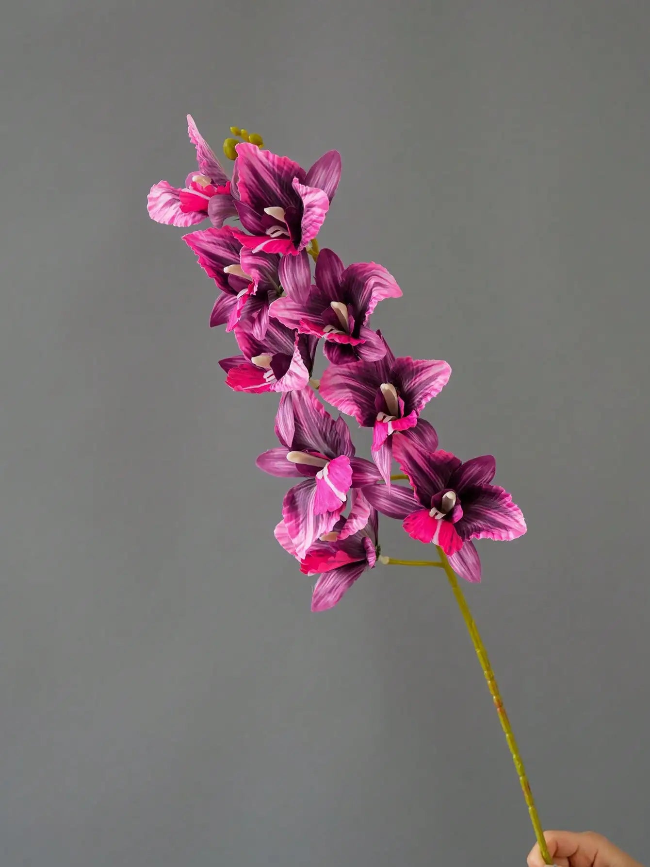 Orquídea Ramo 9 Cabeças