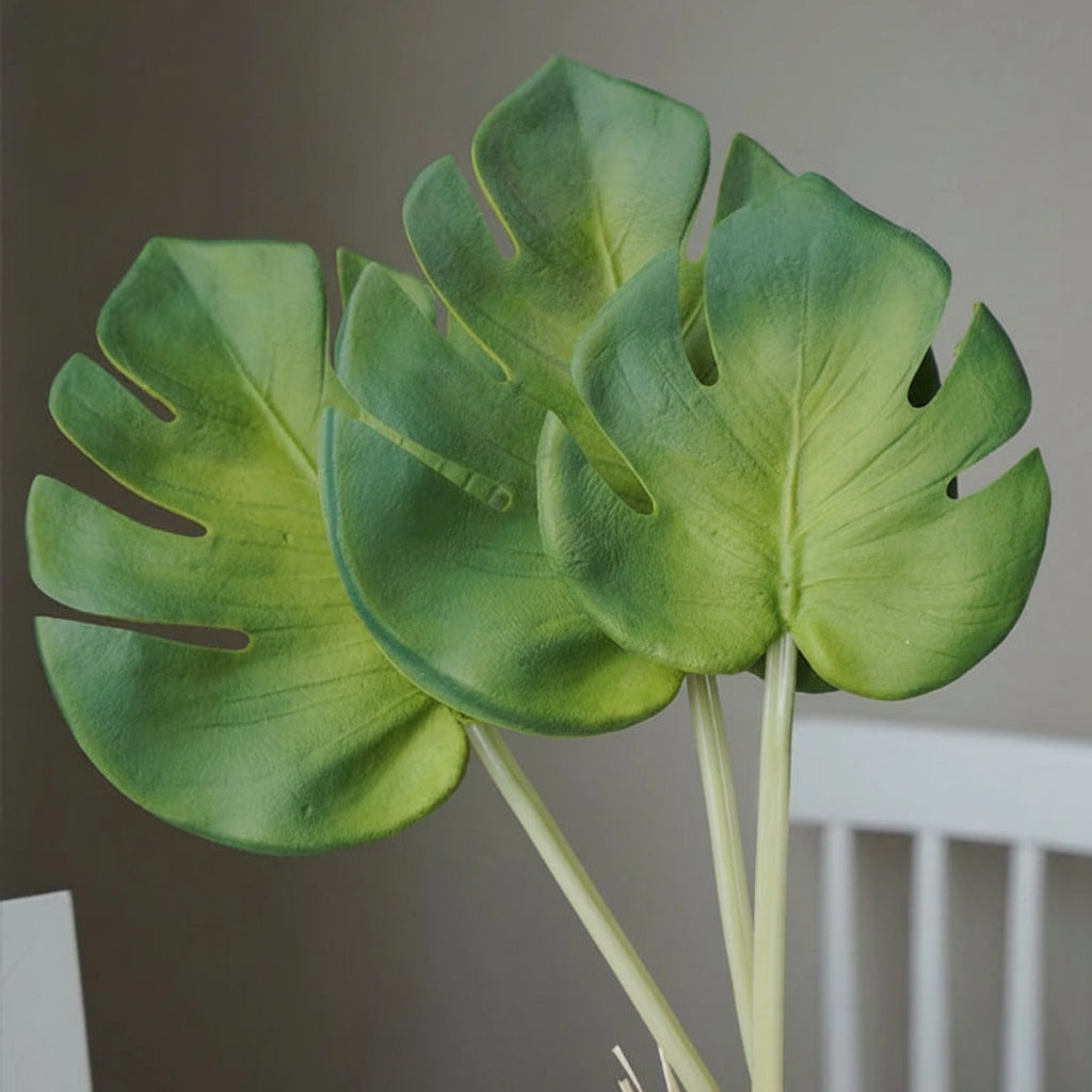 Palmeira Tartaruga