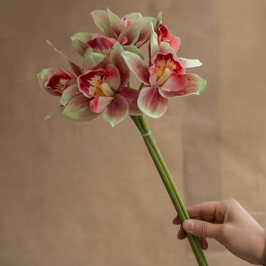 Orquídeas Borboleta
