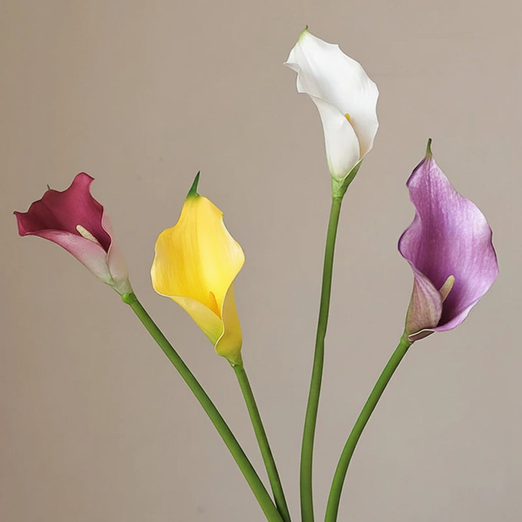 Lírio de Calla
