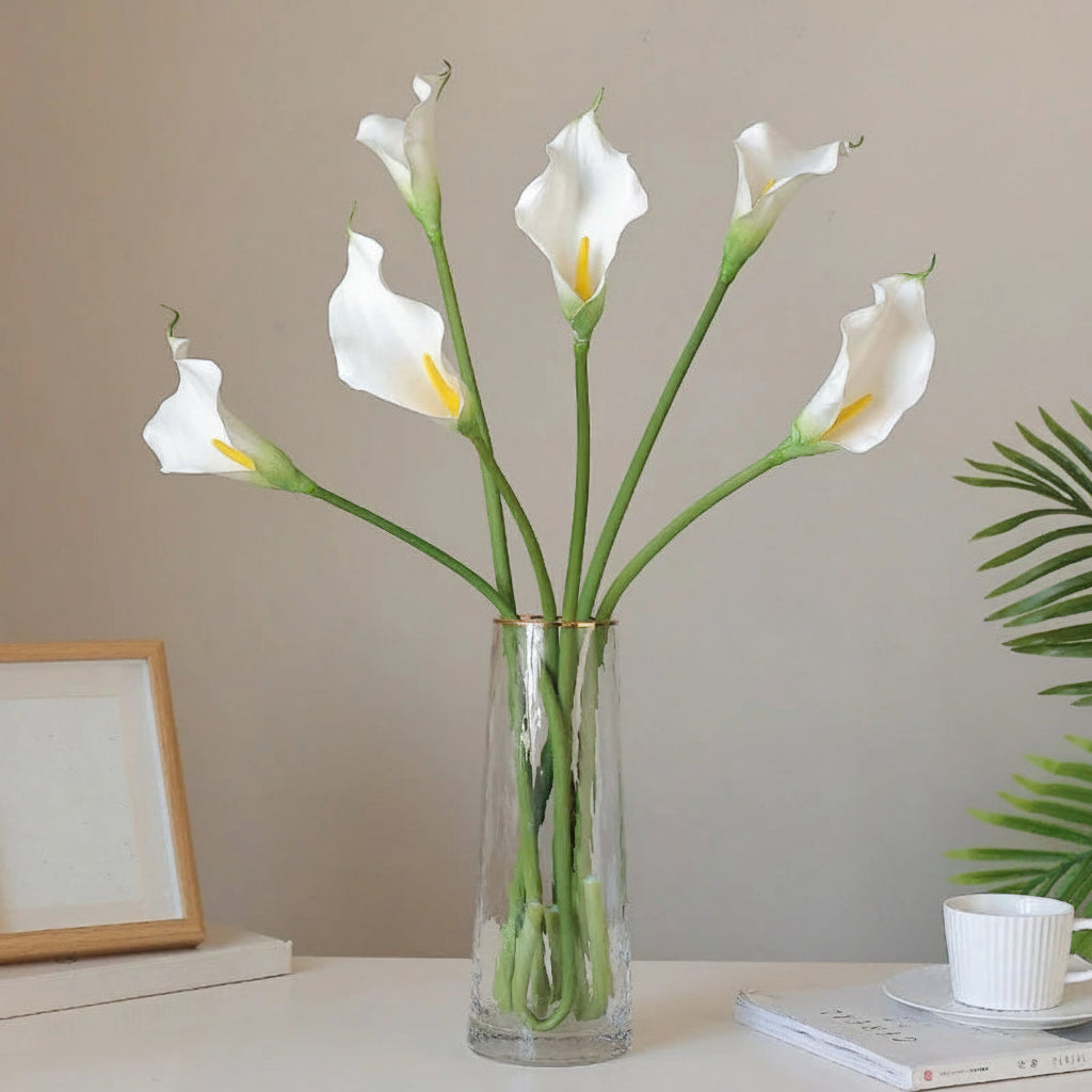 Lírio de Calla